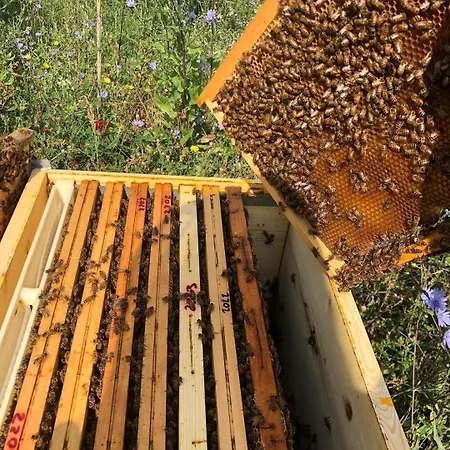 Appartamento Il Mulino *